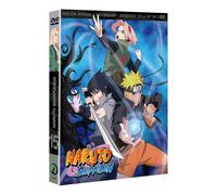 Naruto Shippuden - Box 15 (Dvd)