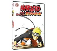 Naruto Shippuden The Movie [DVD]