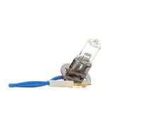 NARVA 48700 Ampoule, projecteur longue portée