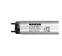 Narva Leuchtstofflampe T8 LT 18 W/017 grün G13 11018 0094