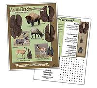 Nasco SB49227 Guide de comparaison des animaux à charnière communs