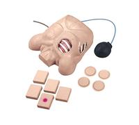Nasco W44673 Torso pour thorax