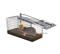 Nasse/piège à Souris