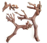 NASSMOSSE Jouets pour Hamster 2 pièces, Branches grimpantes de Vigne Naturelles, Jouets d'enrichissement pour Hamster, décoration de Cage pour Petits Animaux et Exploration Rats
