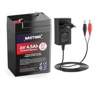 NASTIMA Batterie Rechargeable 6V 4,5Ah LiFePO4 avec Protection BMS et Cycle Profond 2000, avec Chargeur 7,3V 1000mA LiFePO4