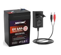 NASTIMA Batterie Rechargeable 6V 6Ah LiFePO4 avec Protection BMS et Cycle Profond 2000, avec Chargeur 7,3V 1000mA LiFePO4