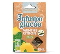 Nat & Form Infusion Glacée Menthe Citron bio 6 sachets de 8 grammes