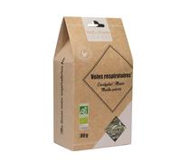 Nat&Form Tisane Voies respiratoires bio Thé 80 g
