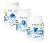 Nat & Form Original Magnésium Vitamine B6 Lot de 3 x 40 gélules