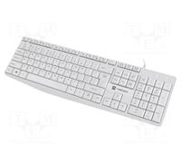 NATEC NKL-1951 Clavier