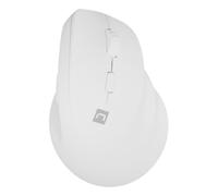 Natec Raton Crake 2 INALAMBRICO Vertical BT 5.2 2.4GHZ 2400 DPI Color