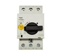 NATEPLALFC Disjoncteurs 6A 1P 140MX-C2E-B63 Interrupteur pneumatique