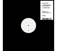 Nathan Fake – Degreelessness (avec Prurient) – Vinyle 12" Single