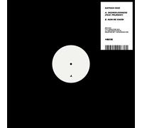 Nathan Fake – Degreelessness (avec Prurient) – Vinyle 12" Single