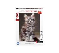 Nathan - Puzzle 1000 pièces - Le Chaton Maine Coon - Adultes et Enfants dès 14 Ans - Puzzle de qualité supérieure - Encastrement Parfait - Collection Tendresse - 12000923