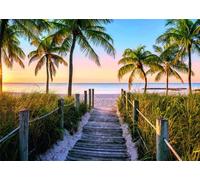 Nathan - Puzzle 1000 pièces - Plage de Floride - Susanne Kremer - Adultes et enfants dès 14 ans - Puzzle de qualité supérieure - Collection Évasion - 12000916