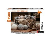 Nathan - Puzzle 1500 pièces - Boules de poils et pelotes de laine - Adultes et enfants dès 14 ans - Puzzle de qualité supérieure - Collection Tendresse - 87790