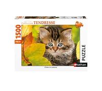 Puzzle 1500 pièces - Collection Tendresse - Chaton en automne multicolore
