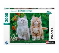 Nathan Puzzle 2000 pièces Chatons Sibériens – Dès 14 ans – Collection Tendresse
