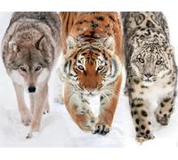 Nathan - Puzzle 2000 pièces - En terre sauvage - Adultes et enfants dès 14 ans - Puzzle de qualité supérieure - Collection Vie Sauvage - Objet décoratif - 12001143, 98 x 75 cm