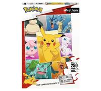 Nathan Puzzle 250 P - Types De Pokémon