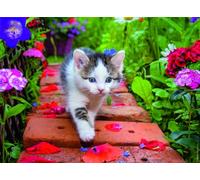 Nathan - Puzzle 500 pièces - Chaton au Jardin - Adultes et Enfants dès 12 Ans - Puzzle de qualité supérieure - Encastrement Parfait - Collection Tendresse - 12000968