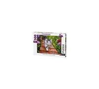 Nathan puzzle 500 p - Chaton au jardin