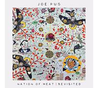 Joe Pug Nation of Heat (Vinyl) 10" Album