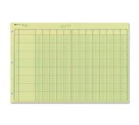 NATIONAL 45613 Bloc d'analyse, 13 colonnes, papier vert, 27,9 x 41,6 cm, 50 feuilles
