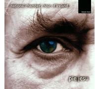 National Chamber Choir of Irel - Pie Jesu
