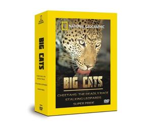 National Geographic-Big Cats [Edizione: Stati Uniti] [Import]