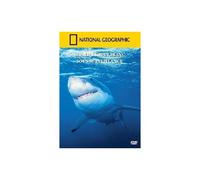 National Geographic : Grand Requin Blanc Sous Surveillance – Studiocanal