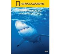National Geographic : Grand Requin Blanc Sous Surveillance