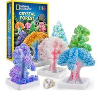 National Geographic Kit d'artisanat pour Enfants - Cultivez 6 Arbres de Cristal en 6 Heures avec ce Kit Éducatif de Croissance de Cristaux, Fournitures d'art Incluses, Spécimen de Géode, Guide STEM