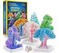 NATIONAL GEOGRAPHIC Kit d'artisanat pour Enfants - Cultivez 6 Arbres de Cristal en 6 Heures avec ce Kit Éducatif de Croissance de Cristaux, Fournitures d'art Incluses, Spécimen de Géode, Guide STEM
