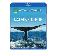 National Geographic - Le Royaume De La Baleine Bleue - Blu-Ray