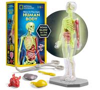 NATIONAL GEOGRAPHIC Modèle Anatomique pour Enfants - Kit interactif de 32 pièces (23 cm) avec os, organes, muscles, pinces, socle, affiche d’identification, et pièces phosphorescentes