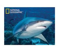 National Geographic Ng28543 Requin Blanc Super 3D Poster Mural pour Enfant