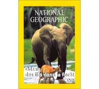 National Geographic – Odzalla : Des îles dans la forêt – Studiocanal