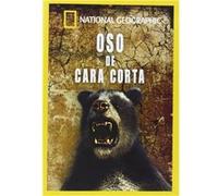 National Geographic : Ours à face courte (2007) G