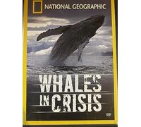 National Geographic: Whales in Crisis