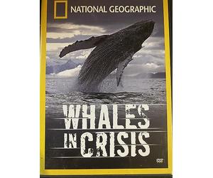 National Geographic: Whales in Crisis