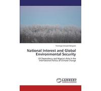 National Interest And Global Environmental Security
