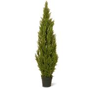 National Tree Arbre Arborvitae avec Pot Rond en Plastique Vert foncé 60 cm