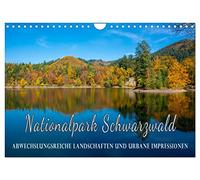 Nationalpark Schwarzwald - abwechslungsreiche Landschaften und urbane Impressionen (Wandkalender 2026 DIN A4 quer), CALVENDO Monatskalender: ... und historische Schwarzwälder Städte
