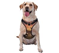 Native American Tribes Gilet de traction pour animal domestique avec sangle de poitrine