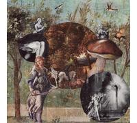 Native Harrow Old Kind of Magic (CD) Album