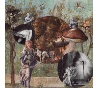 Native harrow - Old Kind of Magic [Import]