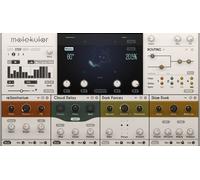 Native Instruments Native Instruments Molekular