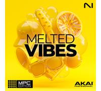 Native Instruments Native Instruments MPC Edition Melted Vibes